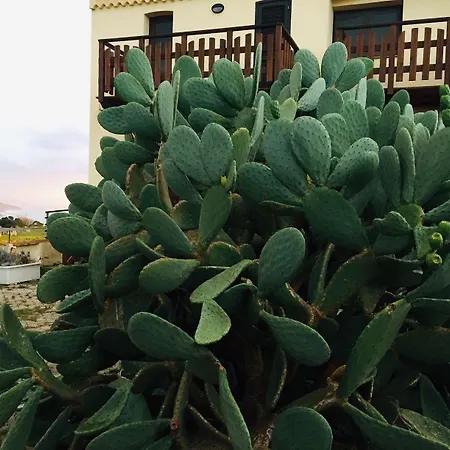 Torre - Adults Only 4*