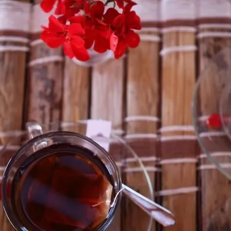 Hotel Torre - Adults Only 4*